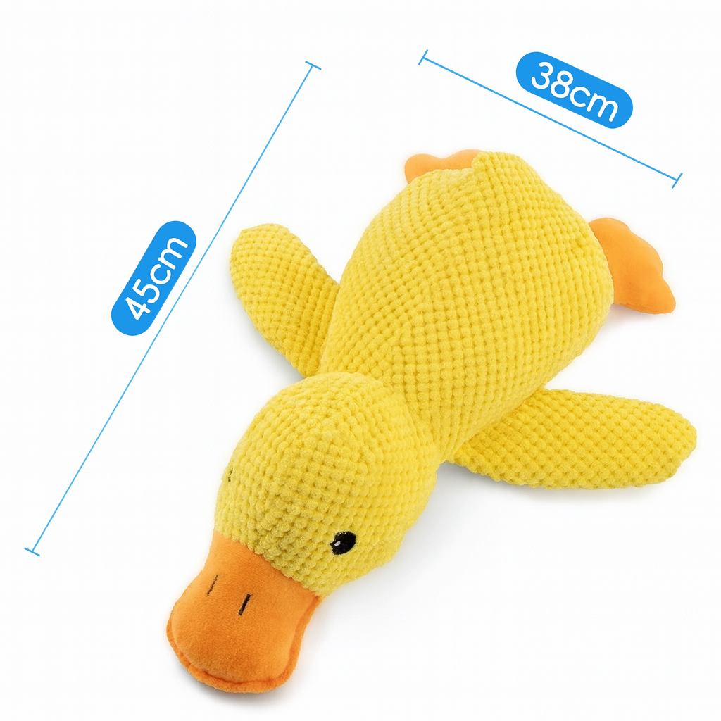 17639654236923f9ef9c50e9986333